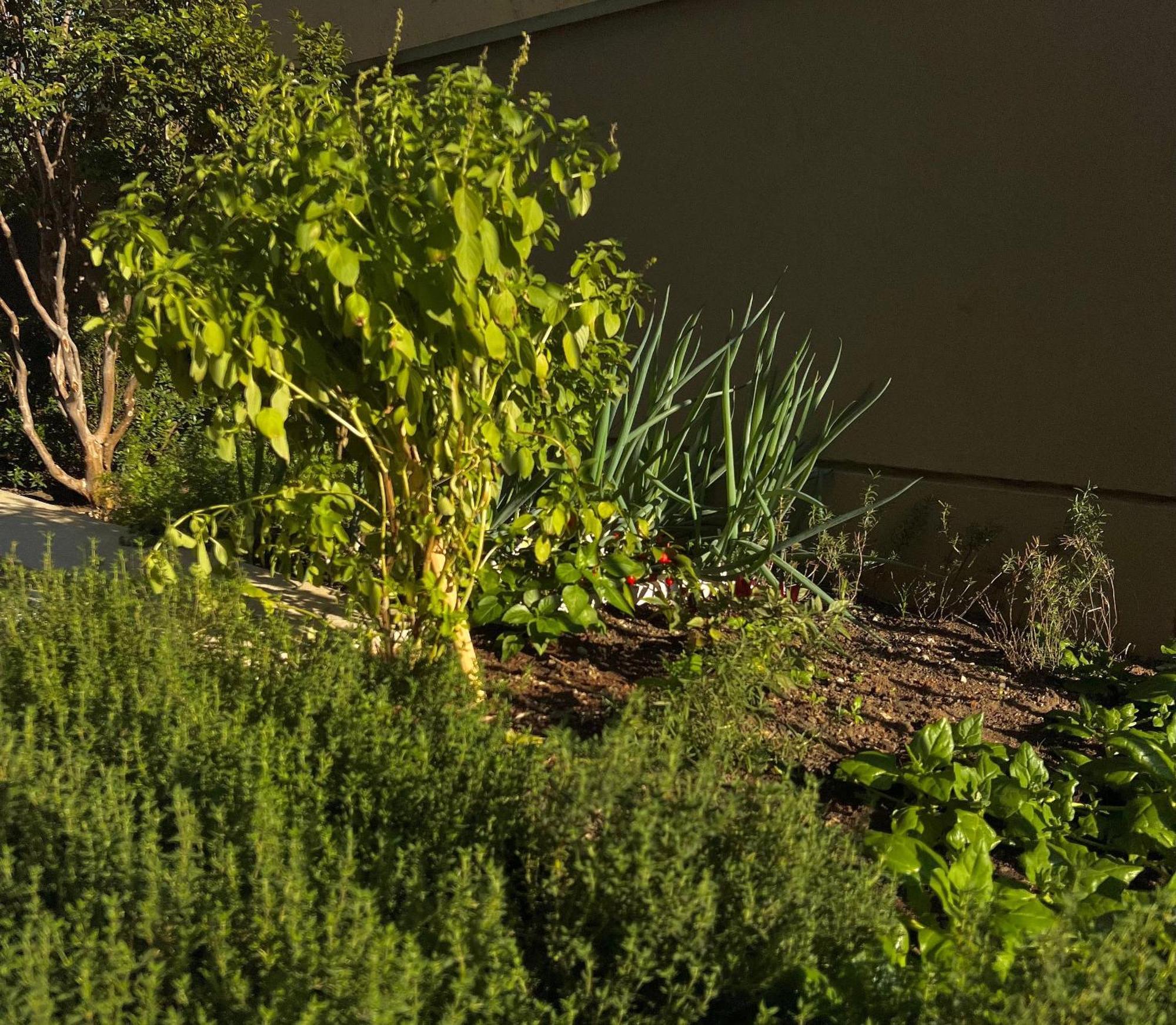1402 Vnma Studio - Jardins - Proximo Oscar Freire São Paulo